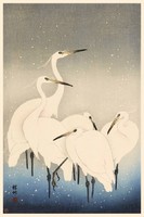Ohara koson: five white herons, kacho-e (bird-flower) Japanese woodcut, excellent quality reprint