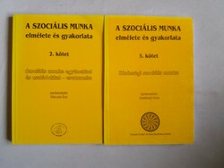 A szociális munka elmélete és gyakorlata 2-3 kötet.