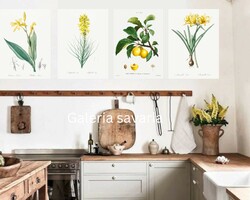 4 Piece reproduction of a beautiful botanical floral print, poster 30*40 cm, with 4 yellow flowers