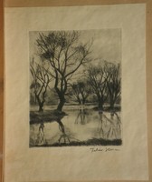 White Ilona (1913-1983): waterfront trees