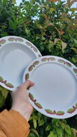 Alföldi porcelain oak leaf hunter 2 plates