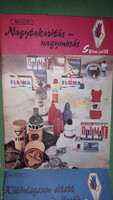 1968.Dr. Erzsébé Lányi: major cleaning - major washing - color - good booklet book minerva according to the pictures