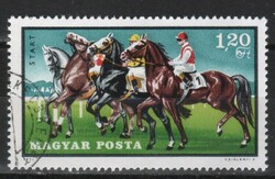 Horses 0116