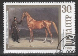 Horses 0103