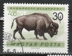 Állatok 0363 Magyar