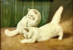 Arthur Heyer. Two Persian white cats with butterfly