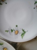 Alföldi margarétás tányér gyönyörű