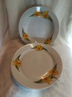 Alföldi porcelain flat and deep plate with yellow narcissus