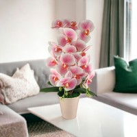 Two-strand life-like white, pink orchid in a pot