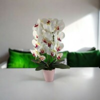 Two-strand life-like white-pink orchid in a pot