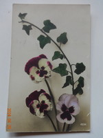 Old, antique graphic greeting card, pansies
