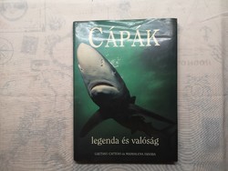 Gaetano cafiero - sharks legend and reality