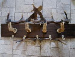 Trophy hanger 80 cm x 15 cm deer
