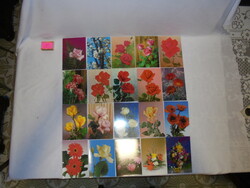 Húsz darab retro, postatiszta virágos képeslap, üdvözlőlap - együtt