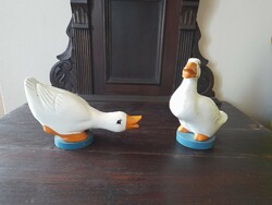 A pair of wood ducks