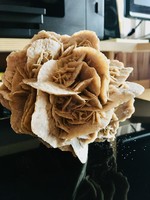12 cm sivatagi rózsa ásvány
