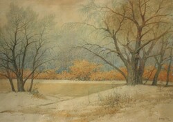 Lajos Gyökössy (1880-): riverside trees