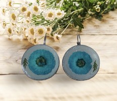 Real blue flower earrings