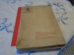 Hungarian economy and culture, course lectures, 1913....