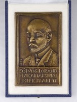 1R215 XX. századi művész : Eötvös Loránd bronz plakett