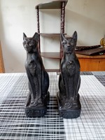 Couple of Egyptian cats