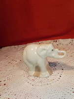 Lucky porcelain elephant.