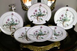Villeroy botanica dessert plates