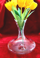 Beautiful glass vase with modern lines