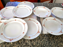 Alföldi rosehip plates
