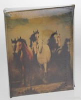 Equestrian photo album (449)
