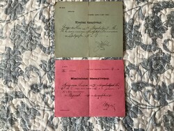 Vaccination certificates from the 19th century (2 pieces).