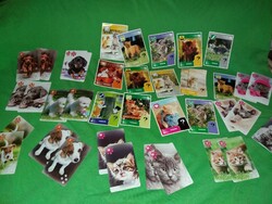 Retro Hungarian cat and dog game cards to make up for gaps in one set as shown in the pictures