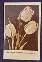 Old floral postcard 13 (m4719)