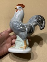 Aquincum gray rooster