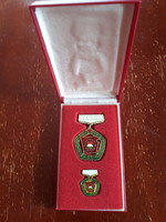 The company's excellent youth brigade with award badge, in its original box