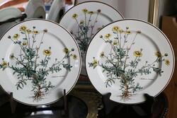 Villeroy Botanica lapos  tányér