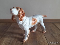Régi Herendi porcelán nagyméretű kutya, ír szetter