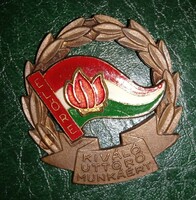 Socialist badge award for excellent pioneering work with certificate, 1973
