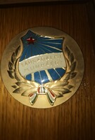 Wall medal picture for social work in perfect new condition 1950s