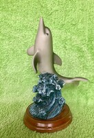 For dolphin fans!
