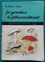 Dr. Kalmár Zoltán: Jó gombák és felhasználásuk > Növényvilág > Gombák a természetben >