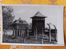 Auschwitz, original Polish, marked photo sheet 3.