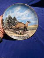 Vintage decorative plate, black-footed ferret