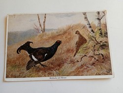 D202767 hunting - grouse cock and hen - elsa oehme 1910k primus