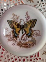 Gyönyörű pillangós disztanyer