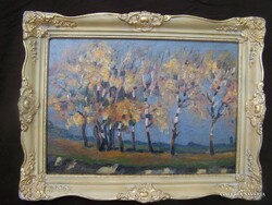 Nagybánya painter xx. Beginning of the century: birch trees