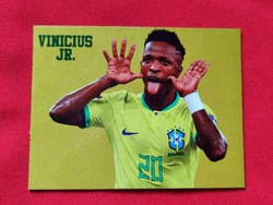 Vinicius junior refrigerator magnet