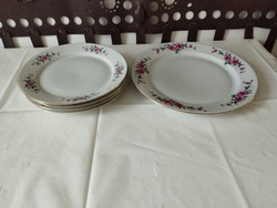 Retro lowland porcelain plates