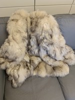 Beautiful stuffed silver fox arctic fox fur