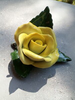 Herendi rose (240519)